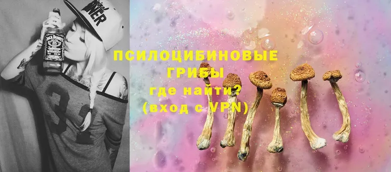 Галлюциногенные грибы Psilocybe  OMG онион  Суровикино  где купить  